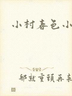 小村春色小说封面