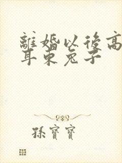 离婚以后高干 耳东兔子封面