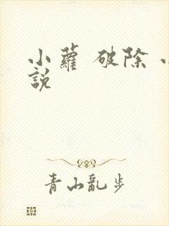 小萝 破除 小说