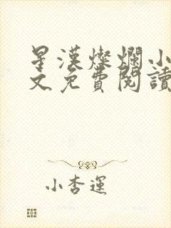 星汉灿烂小说全文免费阅读