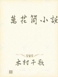万花筒小说封面