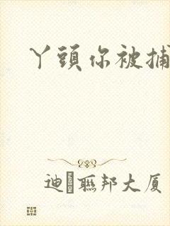 丫头你被捕了