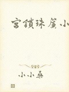 宫锁珠帘小说