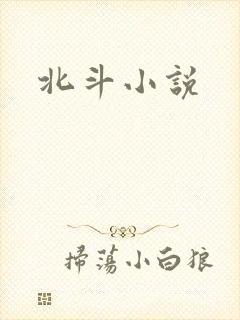 北斗小说