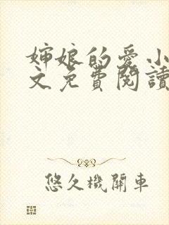婶娘的爱小说全文免费阅读