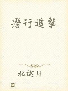 潜行追击封面