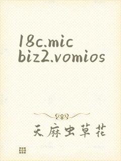 18c.micbiz2.vomios封面