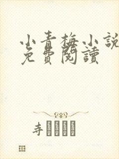小青梅小说全文免费阅读