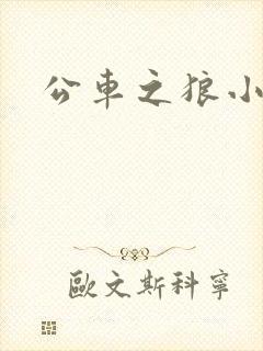 公车之狼小说