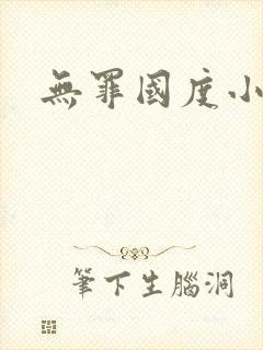 无罪国度小说