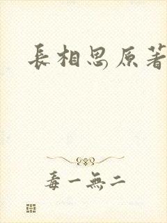 长相思原著封面