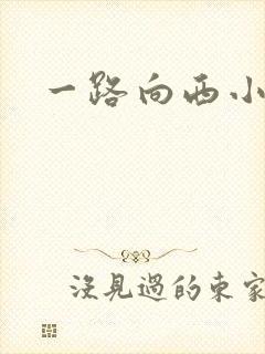 一路向西小说