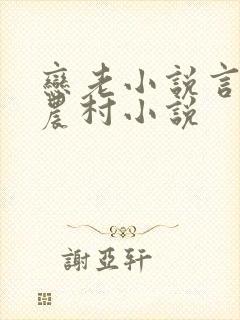 恋老小说言情网农村小说