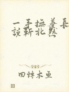 一手抚养长大小说靳北然