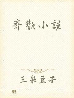 齐欢小说