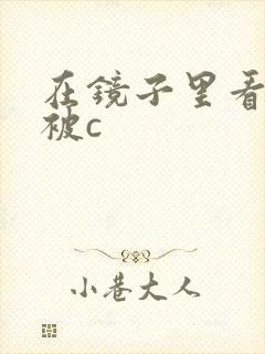 在镜子里看自己被c