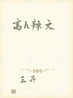 高h辣文