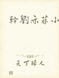 干刘亦菲小说