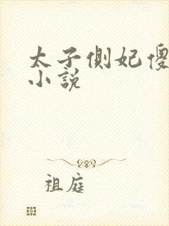 太子侧妃傻乎乎小说