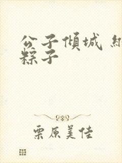公子倾城 维和粽子