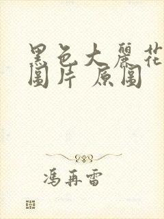 黑色大丽花真实图片 原图