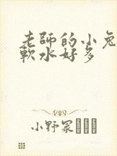 老师的小兔子好软水好多