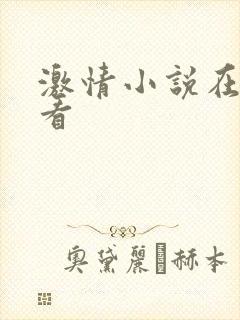 激情小说在线观看