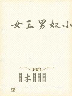 女王男奴小说封面