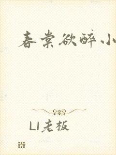 春棠欲醉小说