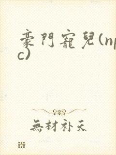 豪门宠儿(npc)