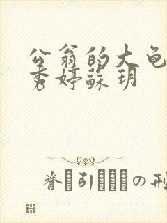 公翁的大龟挺进秀婷苏玥封面