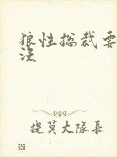 狼性总裁要够了没封面