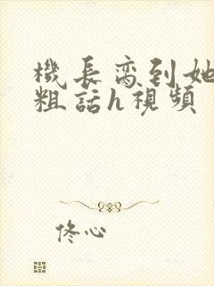 机长脔到她哭h粗话h视频