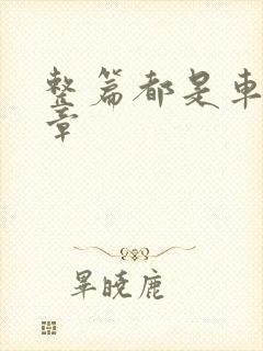 整篇都是车的文章