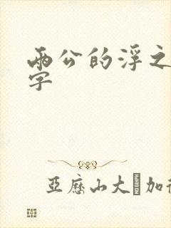 两公的浮之手中字封面