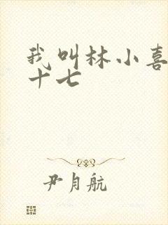我叫林小喜今年十七封面
