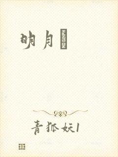 明月珰封面