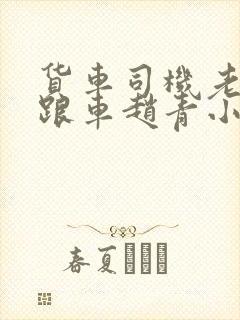 货车司机老周和跟车赵青小明封面