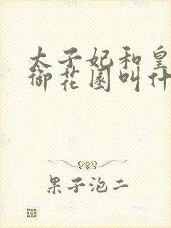 太子妃和皇帝在御花园叫什么小说
