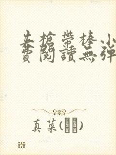 夹枪带棒小说免费阅读无弹窗笔趣封面