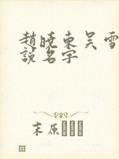 赵晓东吴雪晴小说名字