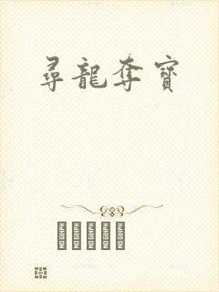 寻龙夺宝