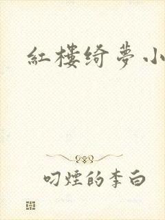 红楼绮梦小说