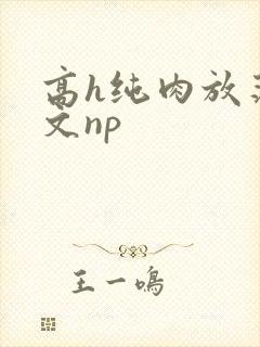高h纯肉放荡h文np
