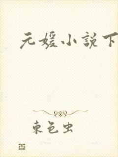 元媛小说下载