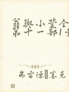 翁与小莹全目录第十一部1章封面