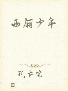 西厢少年