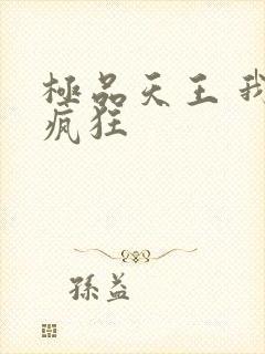 极品天王 我本疯狂封面