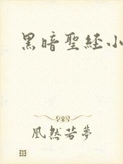 黑暗圣经小说