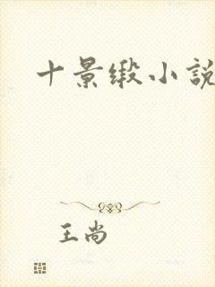 十景缎小说